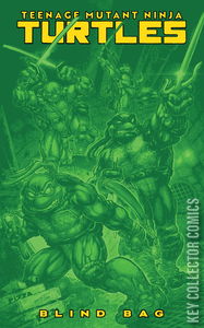 Teenage Mutant Ninja Turtles #13