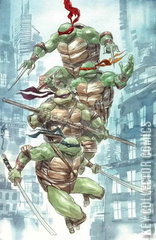 Variant Cover for Teenage Mutant Ninja Turtles #13