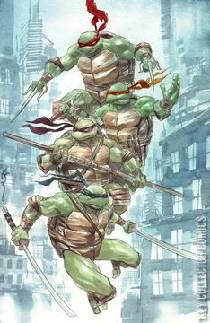 Variant Cover for Teenage Mutant Ninja Turtles #13