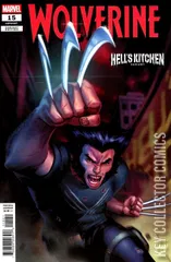 Variant Cover for Wolverine #15