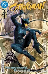 Cover for Catwoman #84