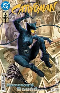 Catwoman #84