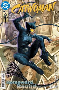 Catwoman #84