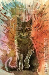 Variant Cover for Ninja Funk #1