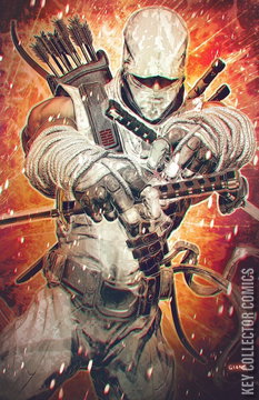 Variant Cover for G.I. Joe: A Real American Hero #325