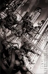 Variant Cover for Teenage Mutant Ninja Turtles #15