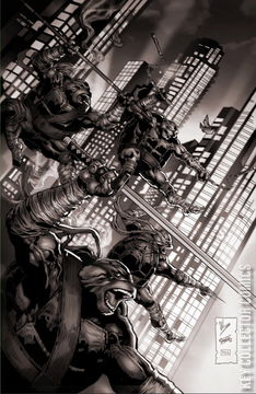 Variant Cover for Teenage Mutant Ninja Turtles #15