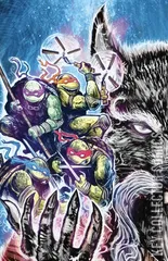 Variant Cover for Teenage Mutant Ninja Turtles #15