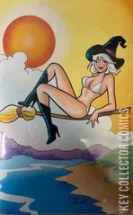 Variant Cover for Betty & Veronica: Summer Fun in the Sun #1
