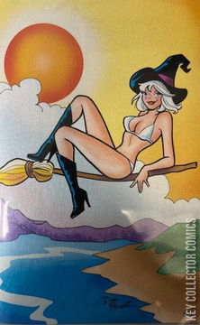 Variant Cover for Betty & Veronica: Summer Fun in the Sun #1