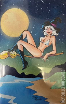 Variant Cover for Betty & Veronica: Summer Fun in the Sun #1