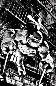 Teenage Mutant Ninja Turtles #1
