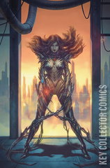 Variant Cover for Witchblade #19