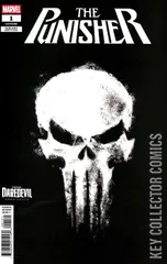 Cover for Punisher #1