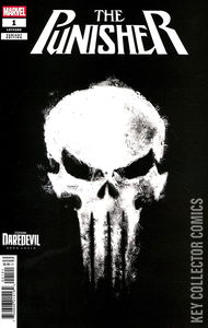 Punisher #1