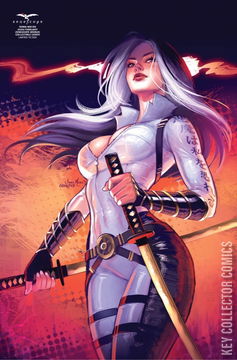 Variant Cover for Grimm Fairy Tales Presents: Robyn Hood Shadow Target #1