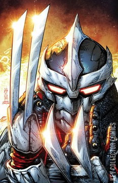 Variant Cover for Teenage Mutant Ninja Turtles: Shredder #6