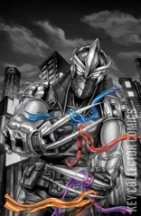 Variant Cover for Teenage Mutant Ninja Turtles: Shredder #1