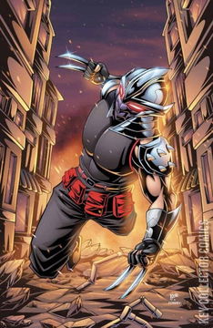 Variant Cover for Teenage Mutant Ninja Turtles: Shredder #1