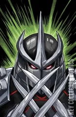 Variant Cover for Teenage Mutant Ninja Turtles: Shredder #1