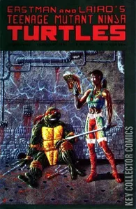 Teenage Mutant Ninja Turtles #44