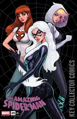 Variant Cover for Amazing Spider-Man #25