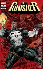 Cover for Punisher #1