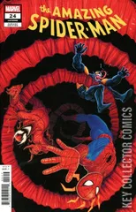 Variant Cover for Amazing Spider-Man #24