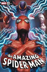 Variant Cover for Amazing Spider-Man #25