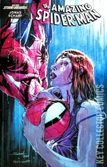 Variant Cover for Amazing Spider-Man #25