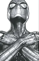 Variant Cover for Amazing Spider-Man #25