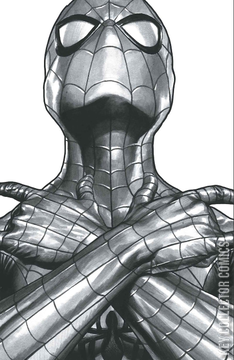 Variant Cover for Amazing Spider-Man #25