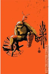 Teenage Mutant Ninja Turtles #2