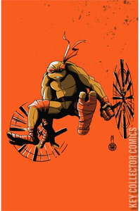 Teenage Mutant Ninja Turtles #2