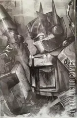 Variant Cover for Transformers #12