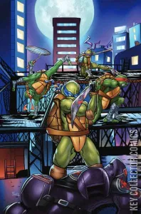 Teenage Mutant Ninja Turtles #8