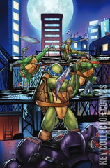 Variant Cover for Teenage Mutant Ninja Turtles #8