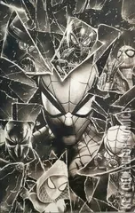 Variant Cover for Spider-Man #1