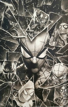 Variant Cover for Spider-Man #1