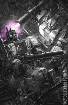 Variant Cover for Transformers #24