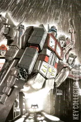 Variant Cover for Transformers #20