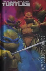 Cover for Teenage Mutant Ninja Turtles #17