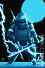 Variant Cover for Teenage Mutant Ninja Turtles: The Last Ronin II - ReEvolution #3