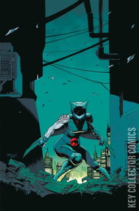 Thundercats x Silverhawks: Thunderhawks #1