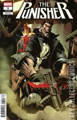 Cover for Punisher #3