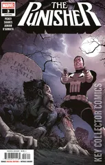 Cover for Punisher #3