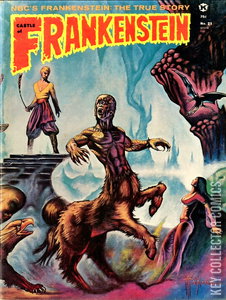 Castle of Frankenstein #21