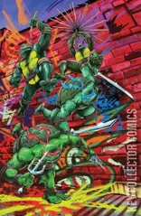 Variant Cover for Teenage Mutant Ninja Turtles #19