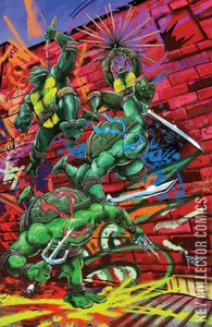 Teenage Mutant Ninja Turtles #19