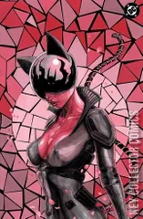 Variant Cover for Absolute Catwoman #1